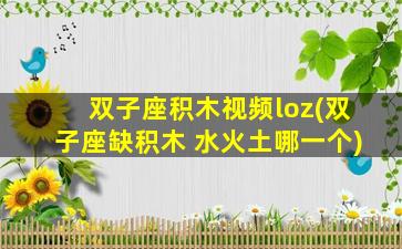 双子座积木视频loz(双子座缺积木 水火土哪一个)